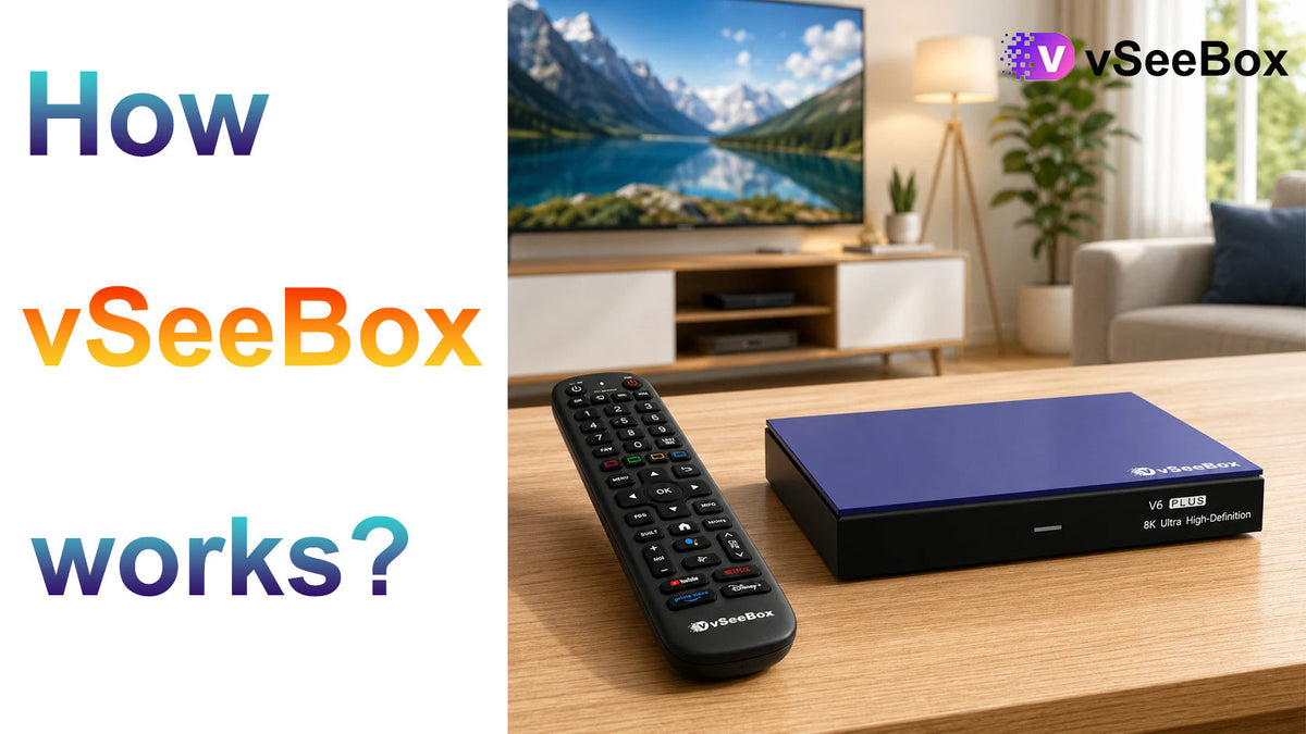 How vSeeBox works